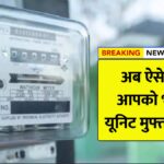 Muft Bijli